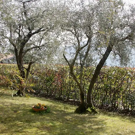Casa de Férias Giardino Sul Sarnico